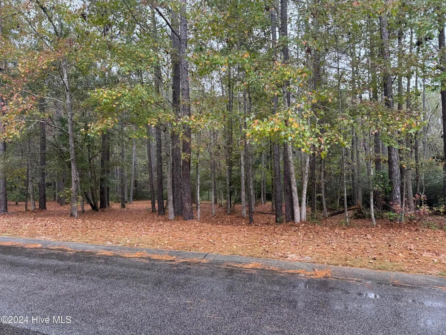 Vacant Land in Ocean Isle Beach - Ocean Isle Beach, North Carolina, 28469