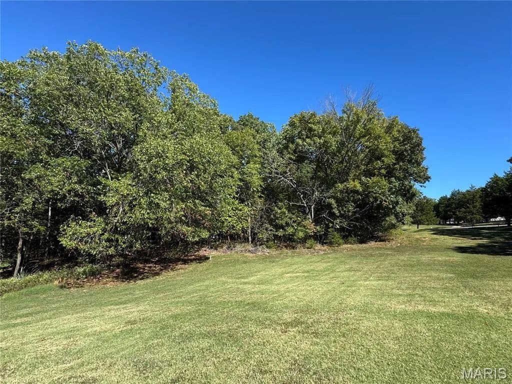 Vacant Land in Hillsboro - Hillsboro, Missouri, 63050