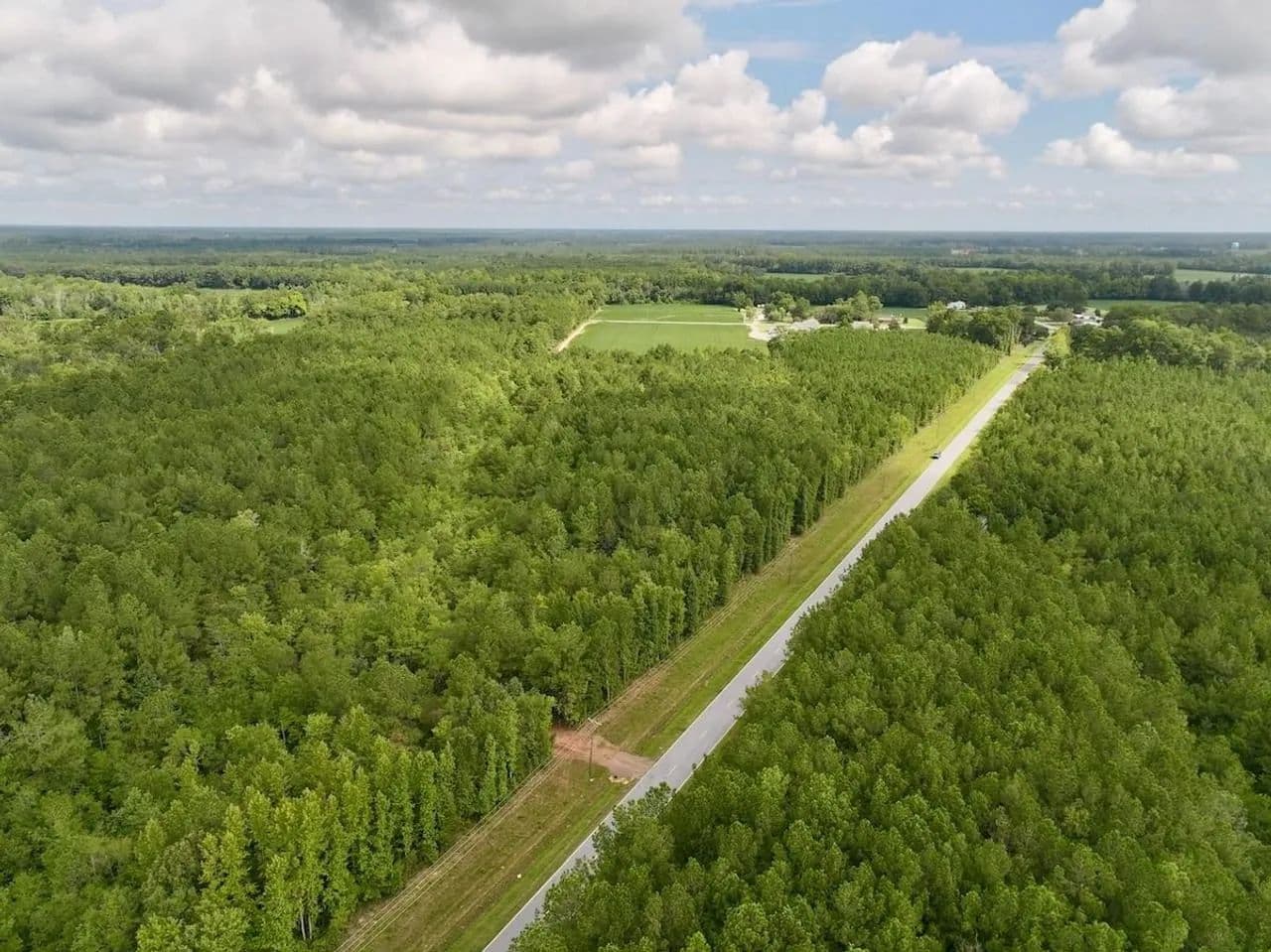 UPDATED!!  14.79 Wooded Acres with Homesite Potential For Sale in Greene County NC! - Walstonburg, North Carolina, 27828