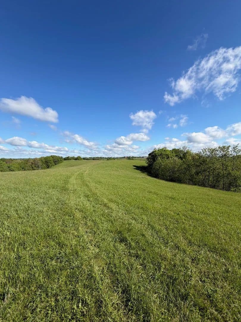 Vacant Land in Williamstown - Williamstown, Kentucky, 41097