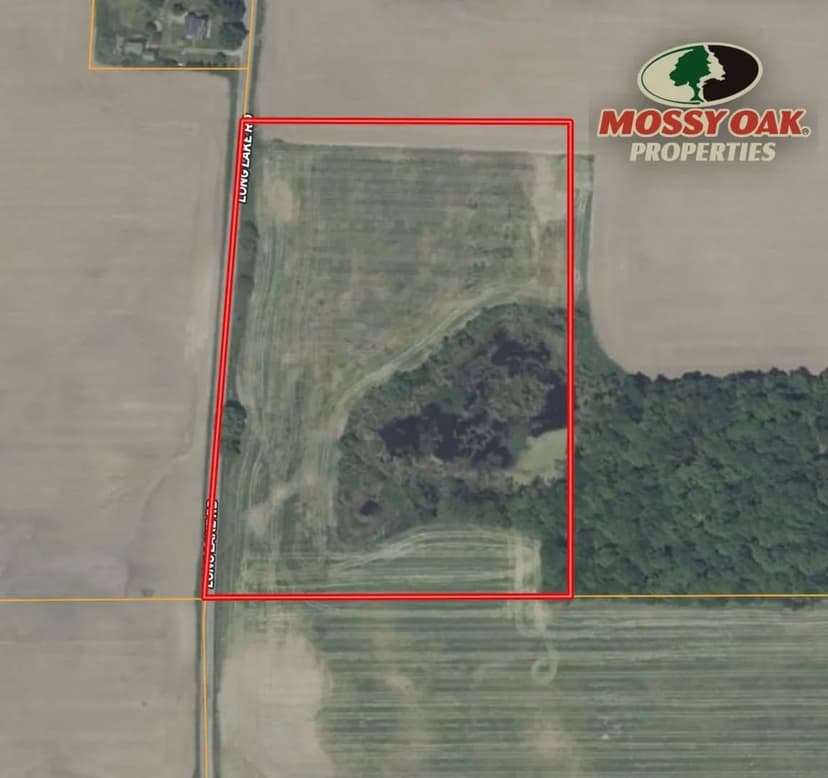 14 +/- ACRES POTENTIAL BUILDING SITE / LONG LAKE ROAD / HILLSDALE COUNTY / LAND FOR SALE