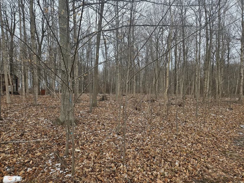 Property from 4148 E Indiana 28 - KW