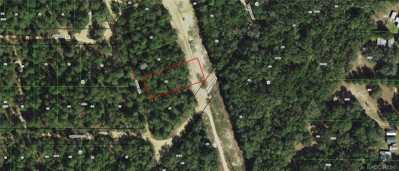 Lots & Land-Other in Inverness - Inverness, Florida, 34452