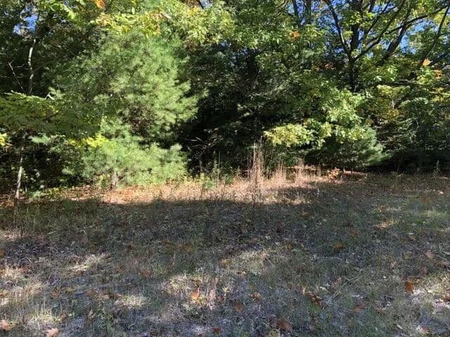 Lots & Land-Other in Mackinaw City