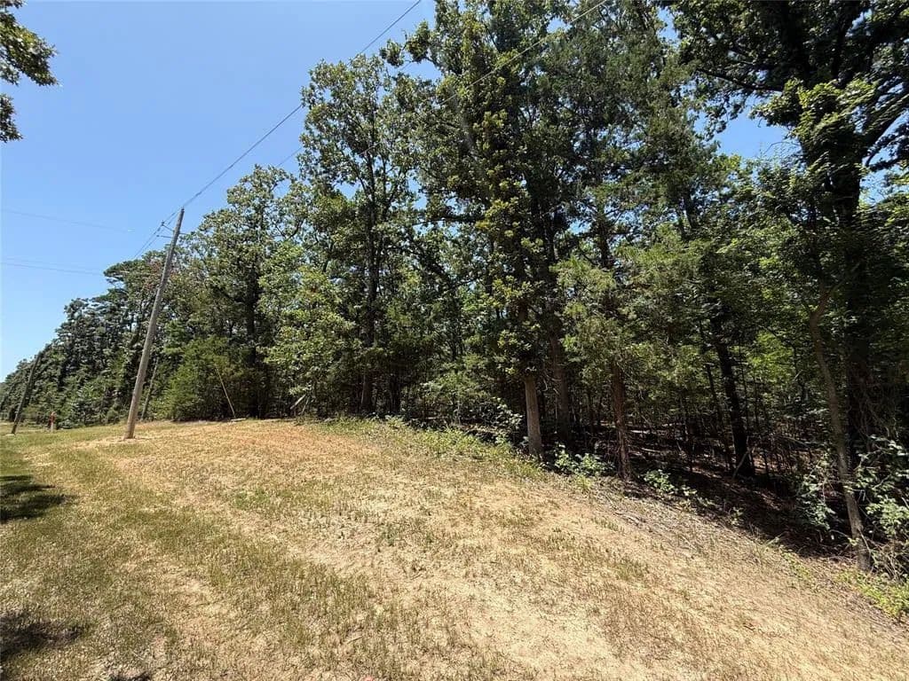 Vacant Land in Mount Vernon - Mount Vernon, Texas, 75457