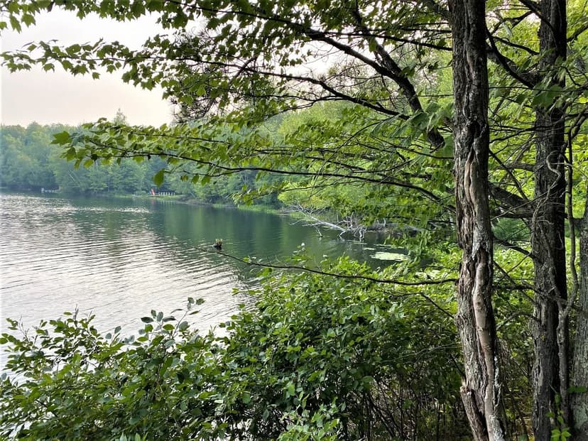 Vacant Land in Mercer