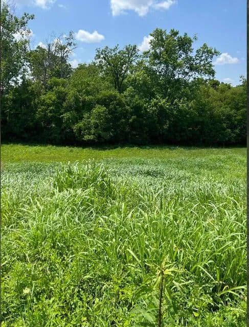 Lots & Land-Other in Owingsville - Owingsville, Kentucky, 40353