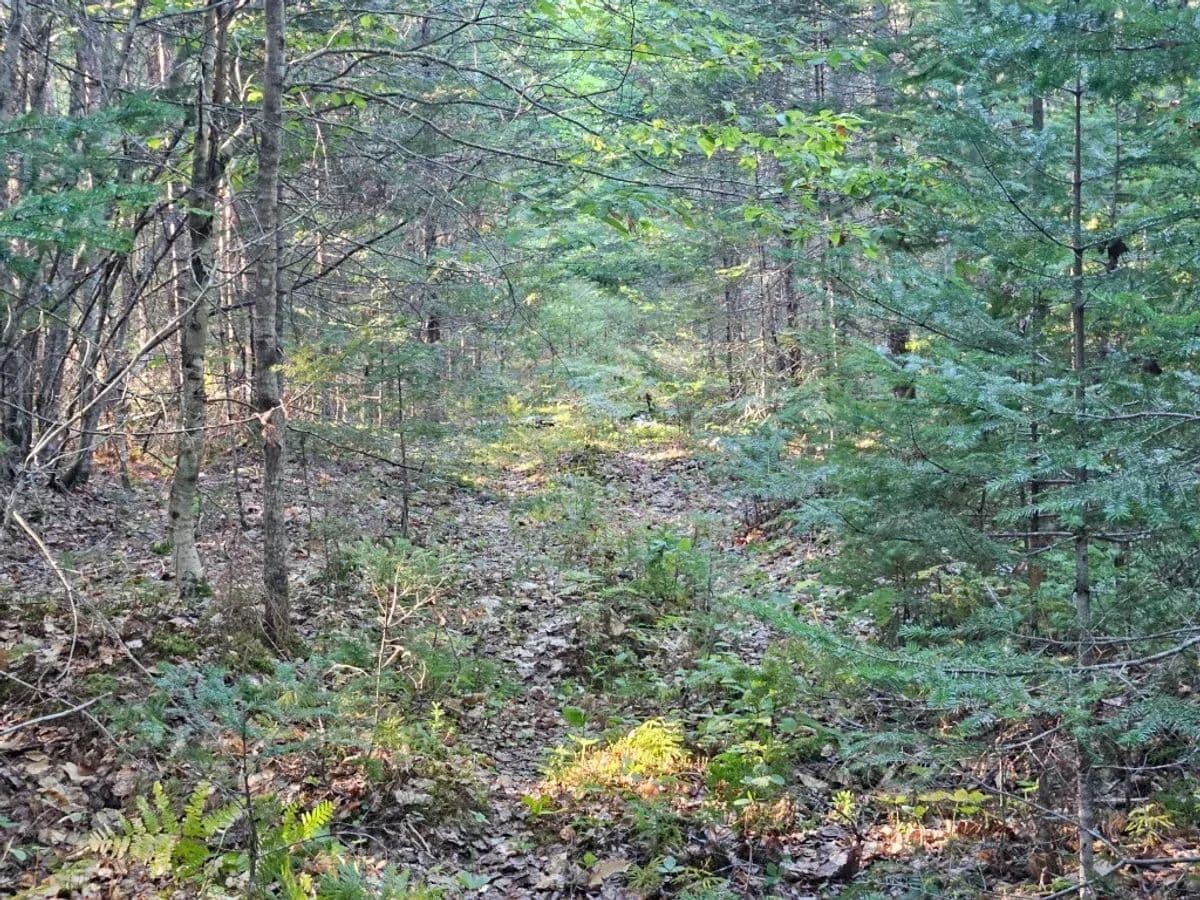 Hudson, M11L1 off Wilder-Davis Road-61.25 - Hudson, Maine, 04449