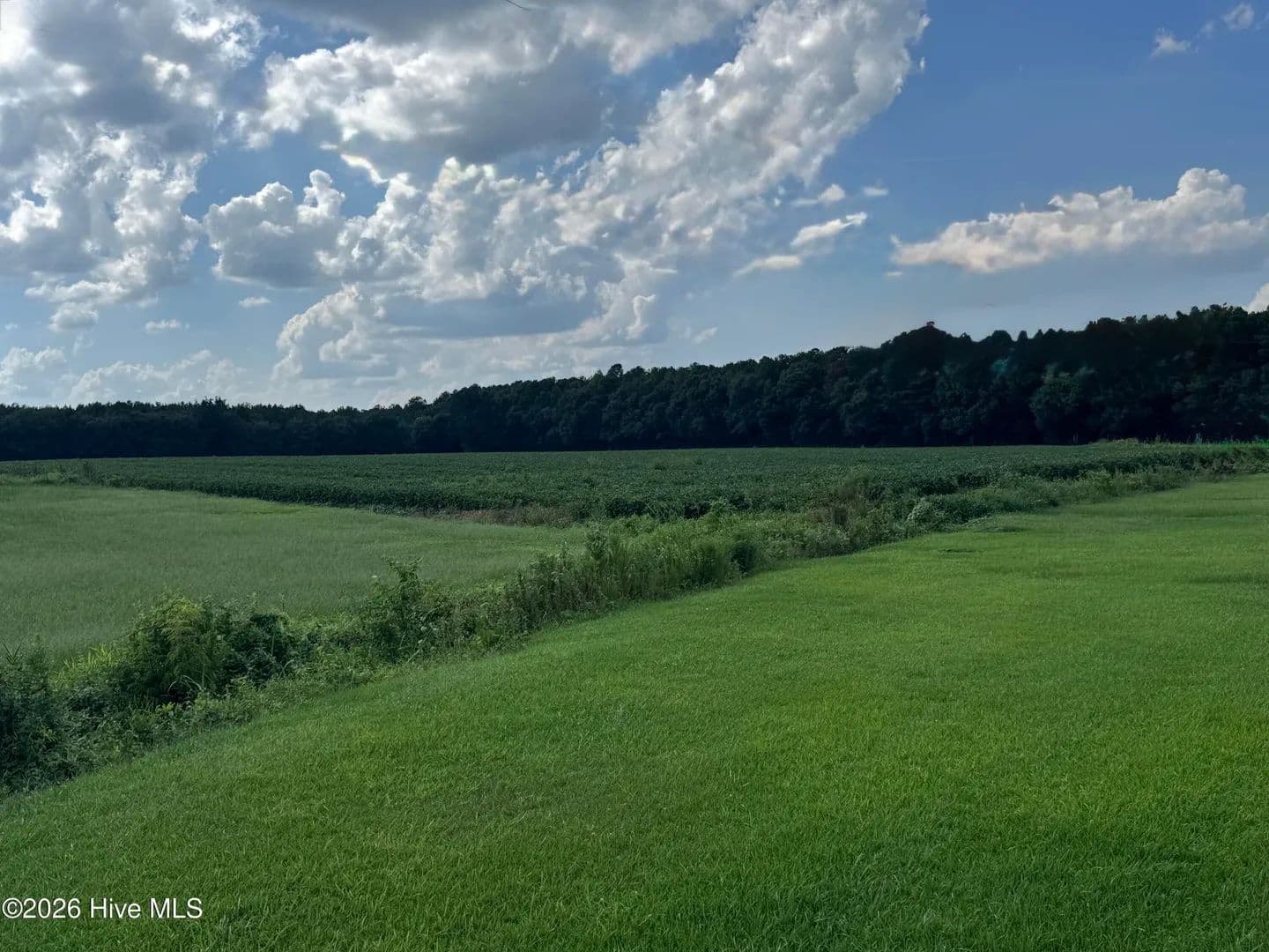 Vacant Land in Richlands - Richlands, North Carolina, 28574