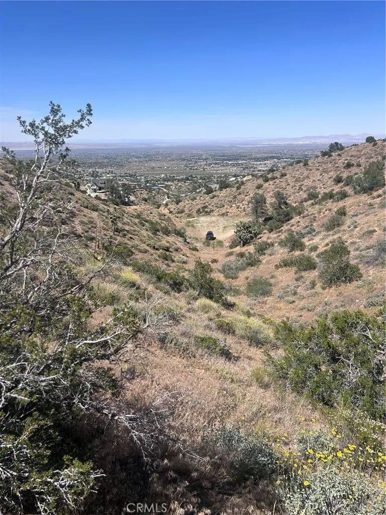 Vacant Land in Pinon Hills - Pinon Hills, California, 92372