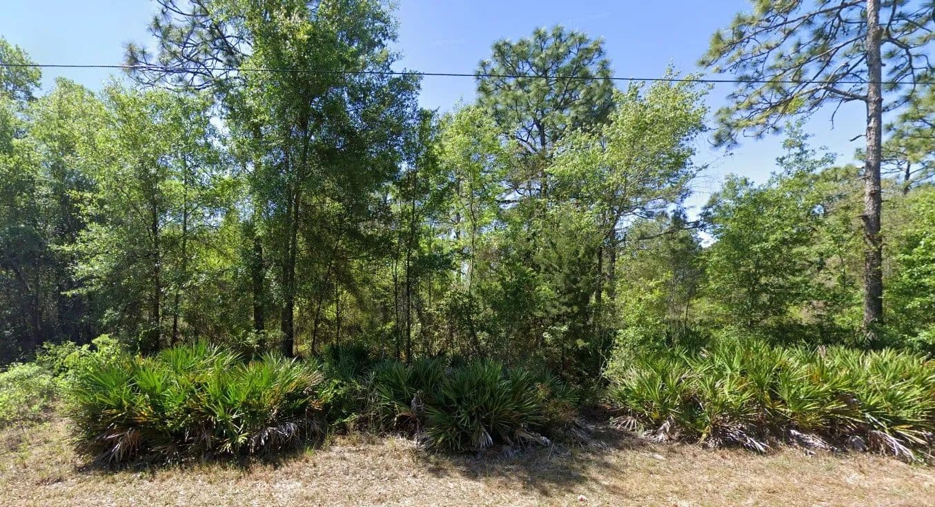 Vacant Land in Homosassa - Homosassa, Florida, 34446