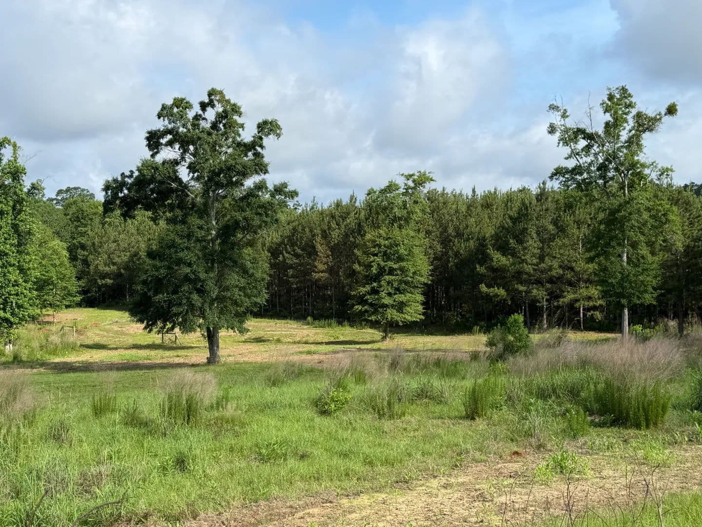 52 Acres in Butler County, AL  - Georgiana, Alabama, 36033