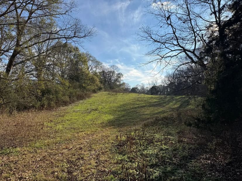 34 +/- Acres - Madison County, Georgia