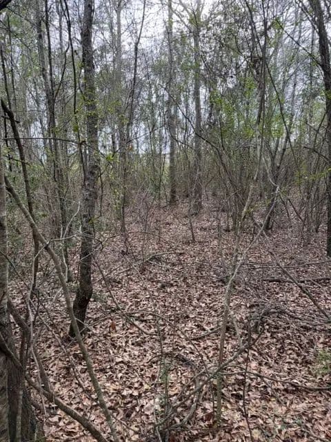 3.6 Acre Lot in Pike County, AL