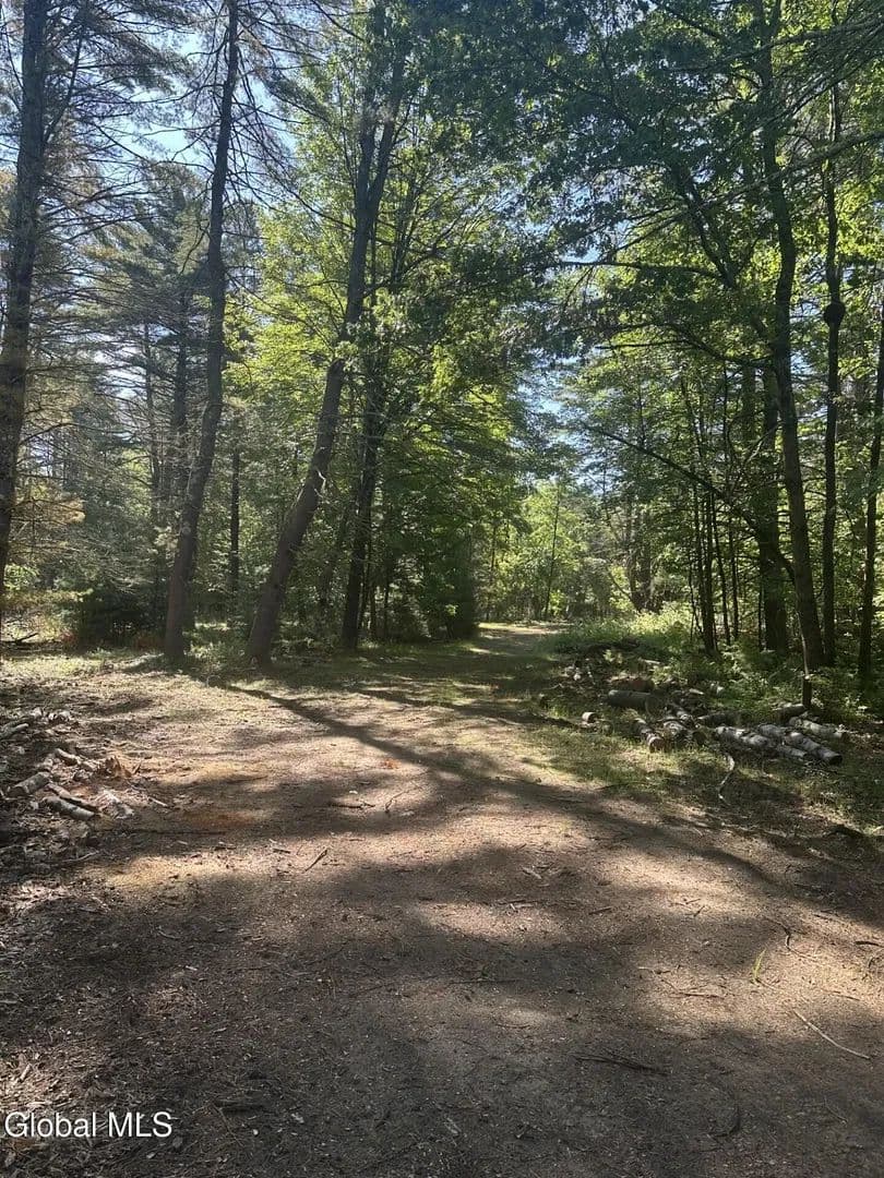 24.24 Acres of Land for Sale in Wilton - Wilton, 12866