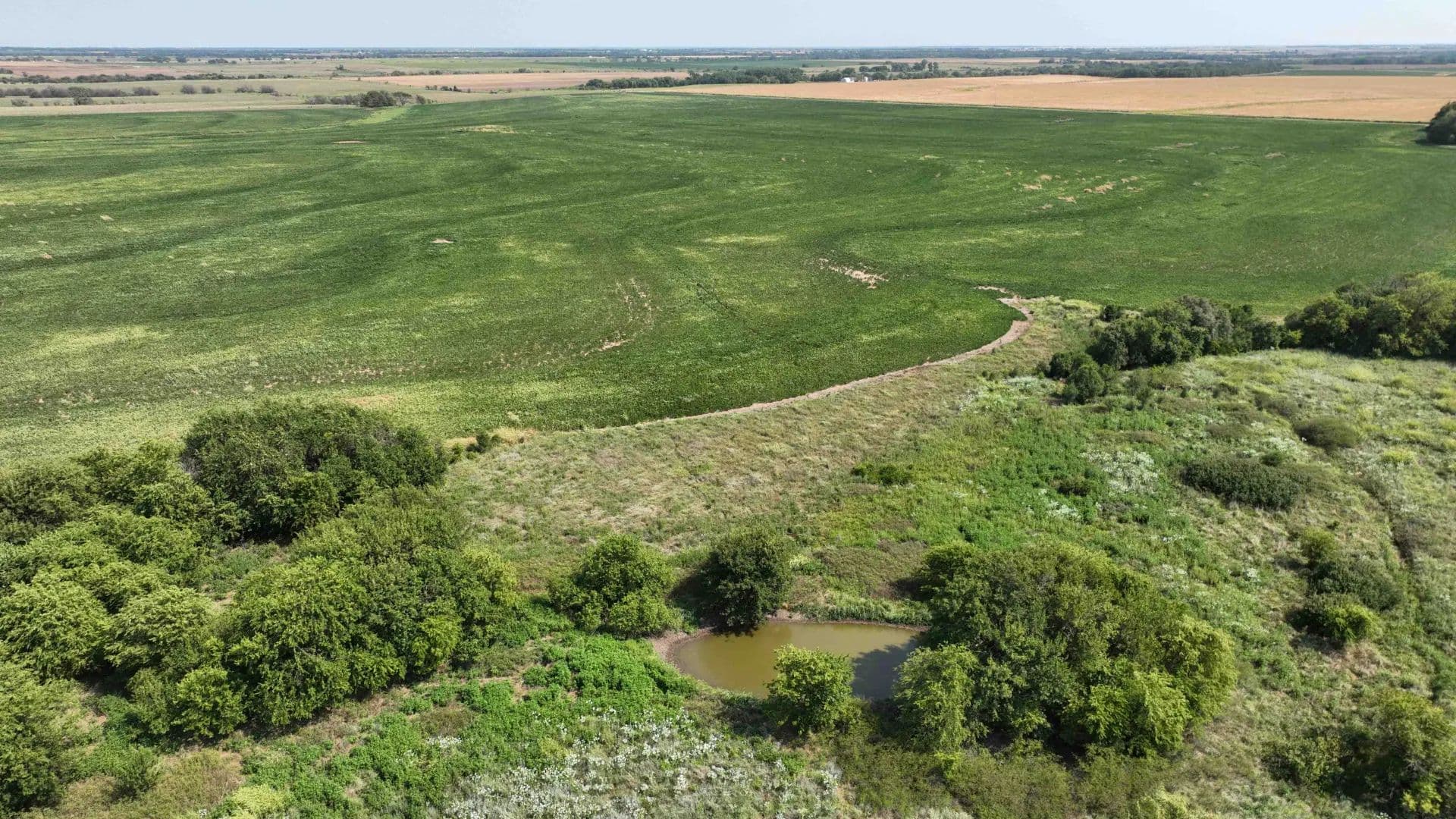 155.7± Acres Cropland & More - Tract 5 of 5  - South Haven, Kansas, 67140