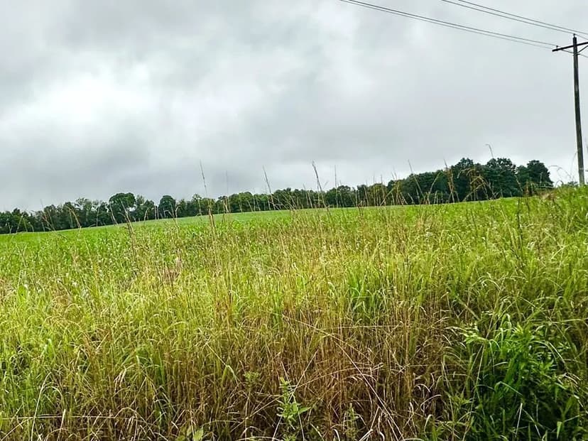 Lots & Land-Other in Piketon