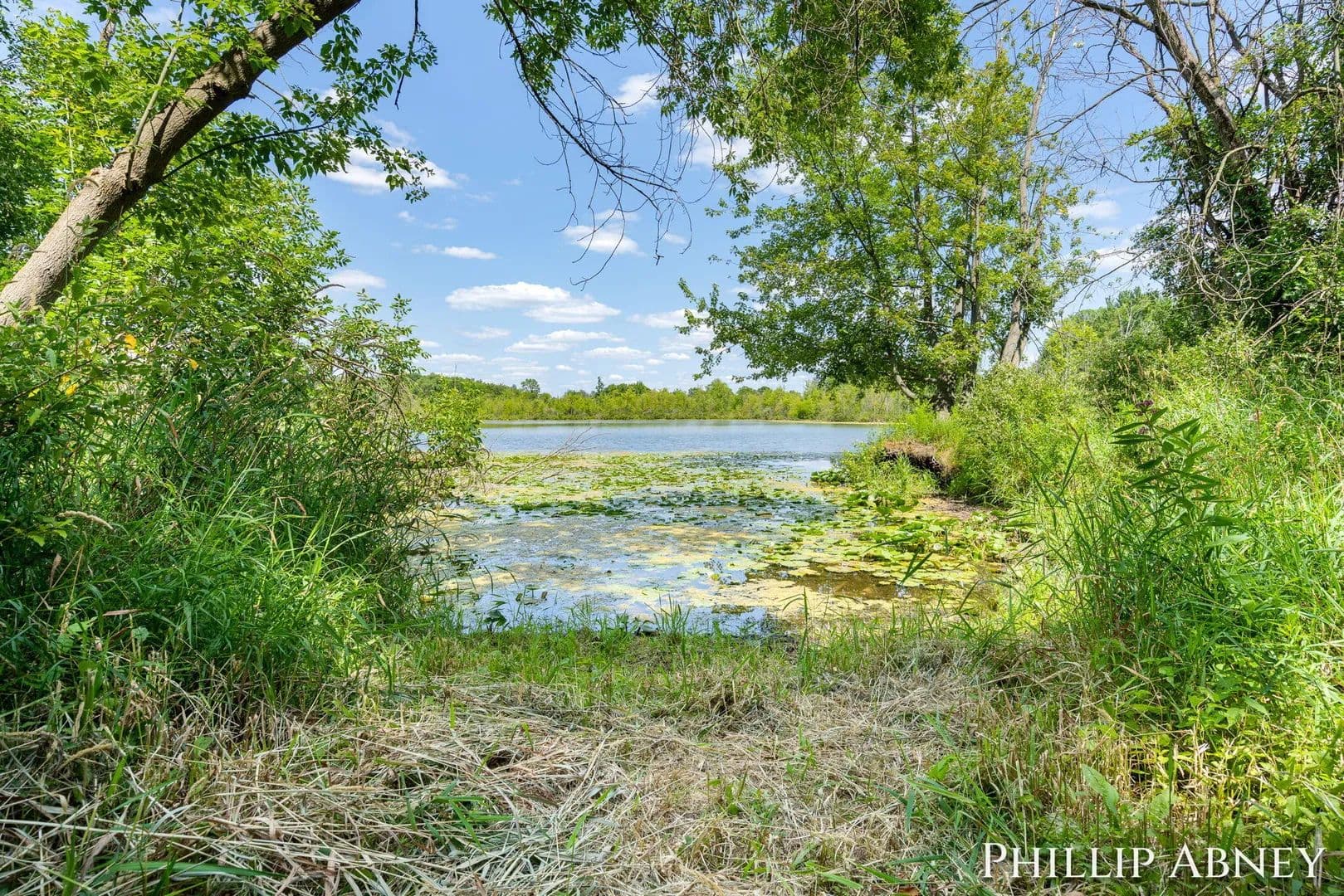 Vacant Land in Trufant - Trufant, Michigan, 49347