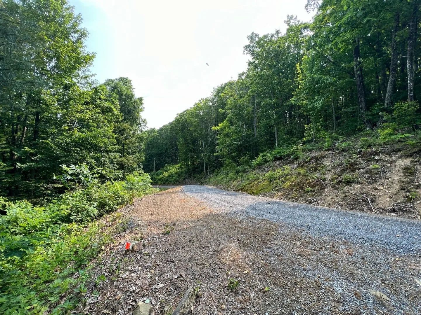 Lots & Land-Other in White Sulphur Springs - White Sulphur Springs, West Virginia, 24986