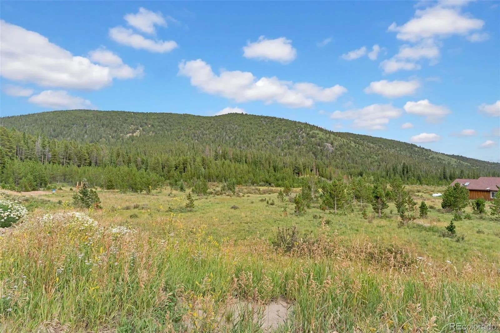 0.65 Acres of Land for Sale in Idaho Springs, CO - Idaho Springs, Colorado, 80452