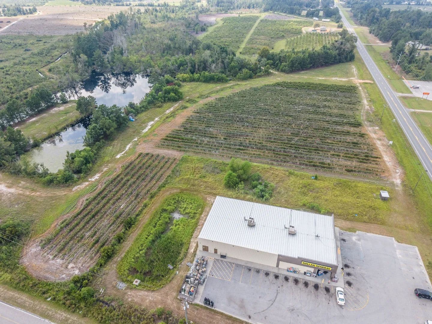 Premier 425 Acre +/- Blueberry and Row Crop Opportunity - Alma, Georgia, 31510