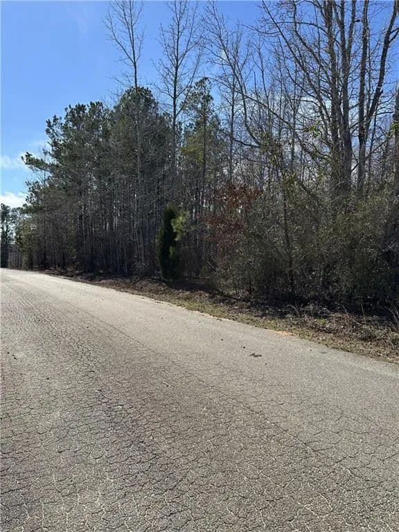 Vacant Land in Phenix City - Phenix City, Alabama, 36869
