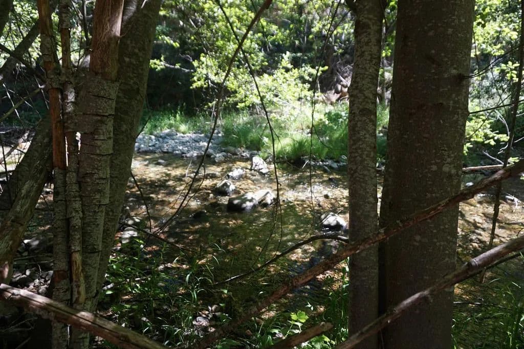 Vacant Land in Meadow Valley - Meadow Valley, California, 95956