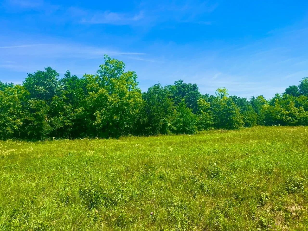 3.37 Acres of Land for Sale in Poolville, TX - Poolville, Texas, 76487