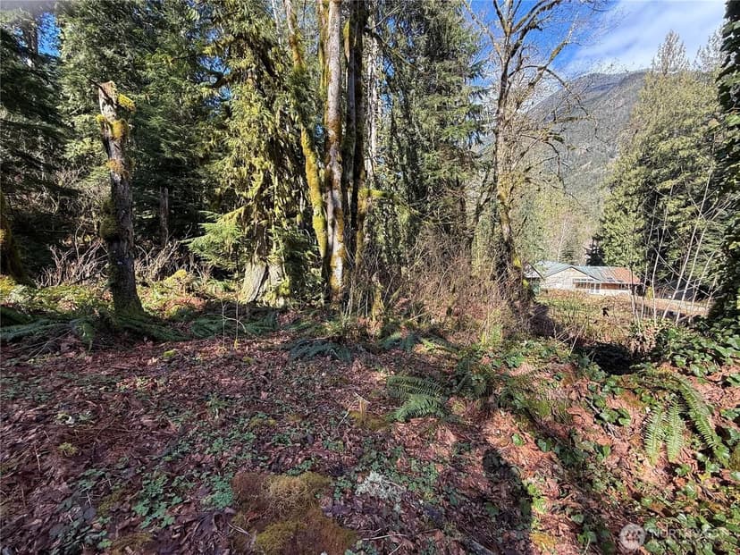 Vacant Land in Marblemount