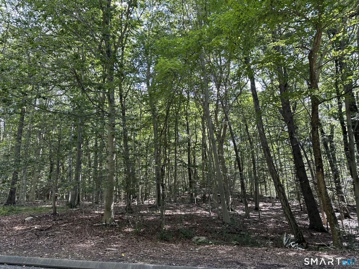 Vacant Land in Stamford - Stamford, Connecticut, 06904