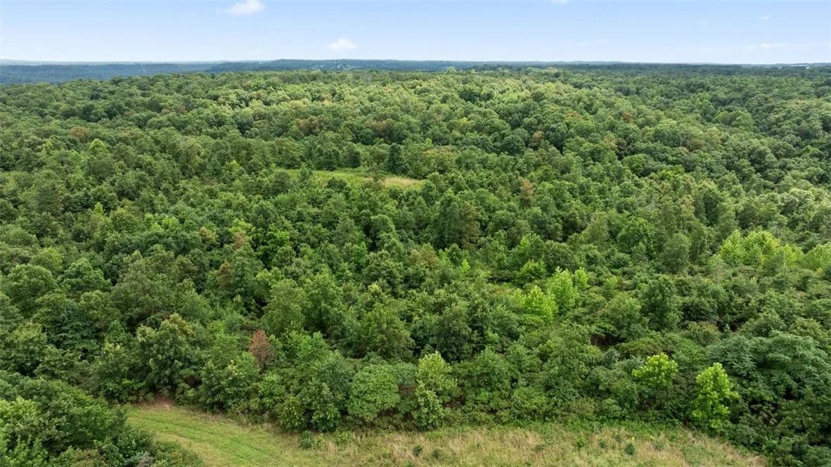 Vacant Land in Noel - Noel, Missouri, 64854