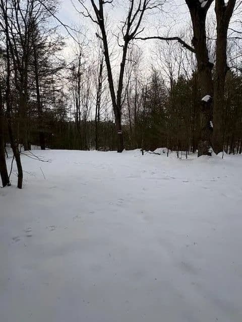 Vacant Land in Montague - Montague, Michigan, 49437