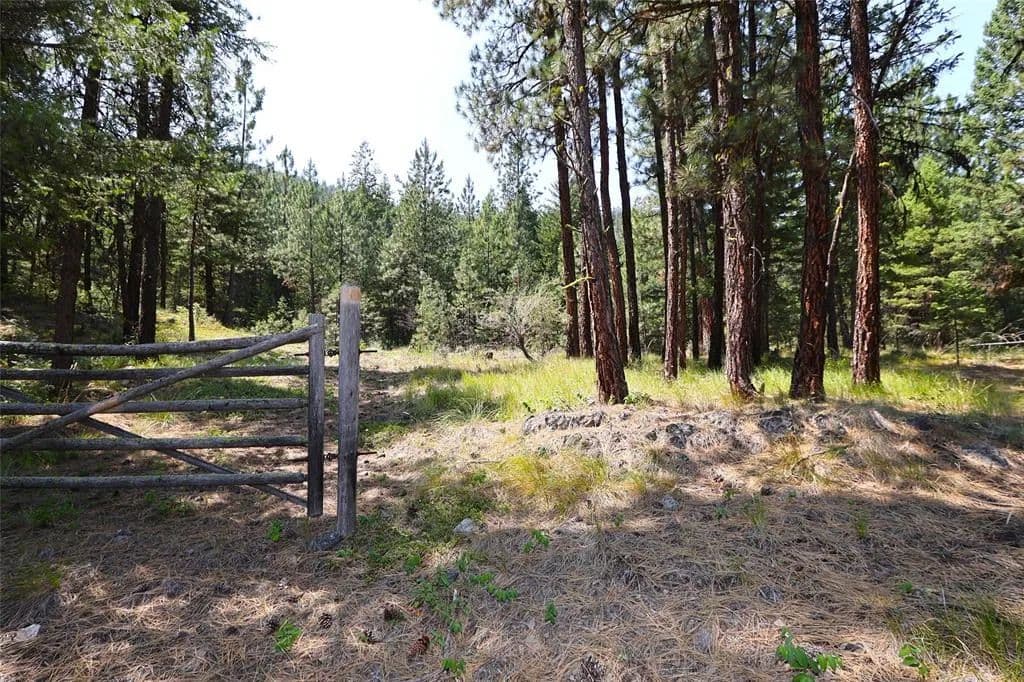 Vacant Land in Plains - Plains, Montana, 59859