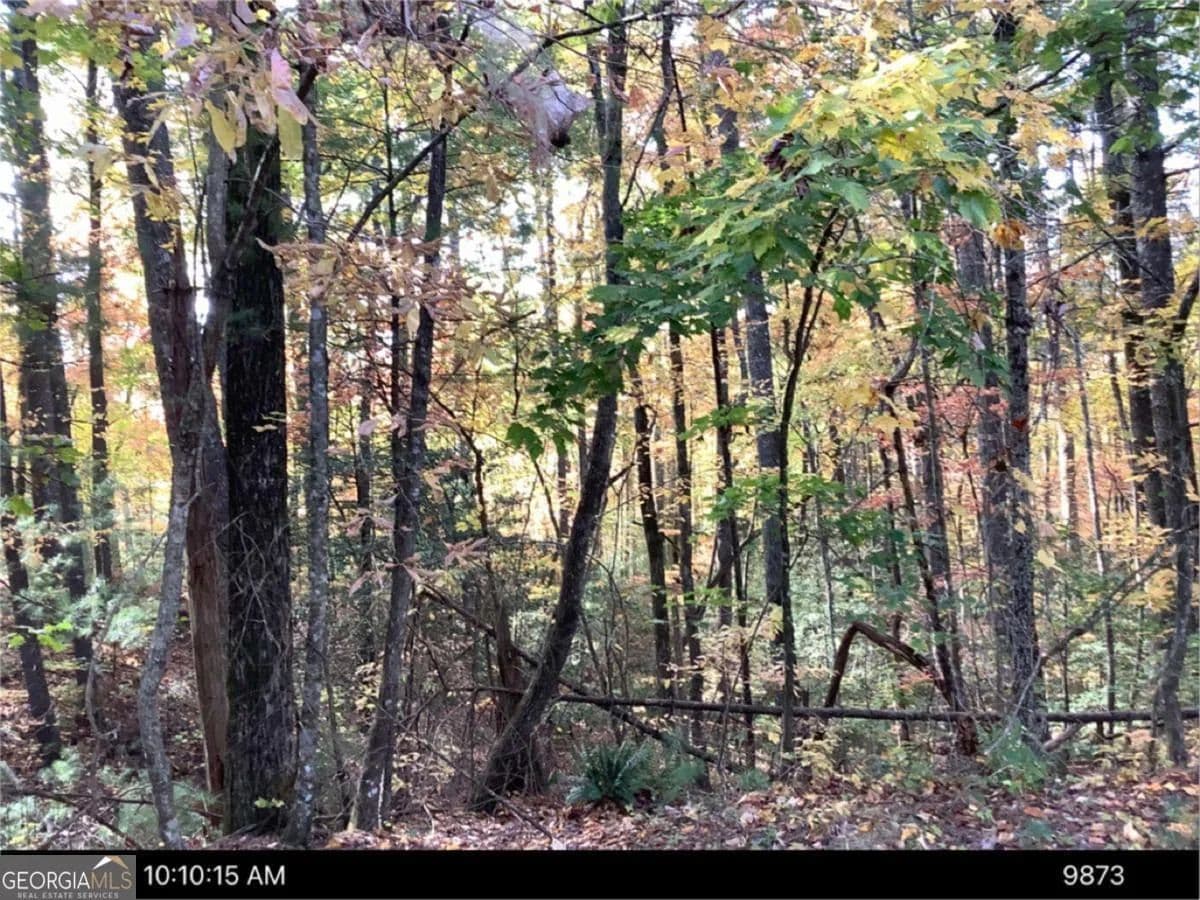 4.11 Acres of Land for Sale in Ellijay, GA - Ellijay, Georgia, 30540