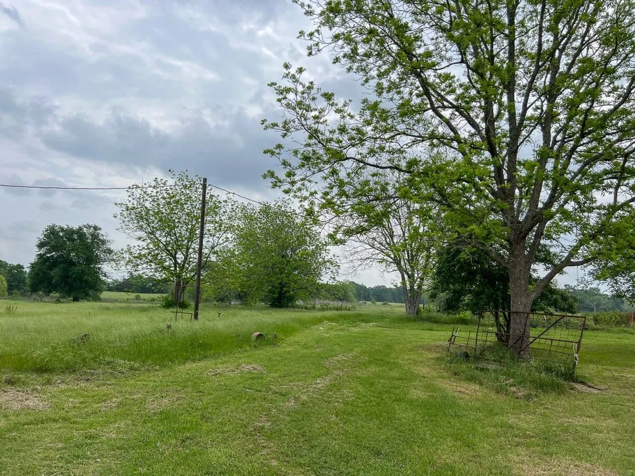25 Acres | T-21 | County Road 3630 - Lovelady, Texas, 75851