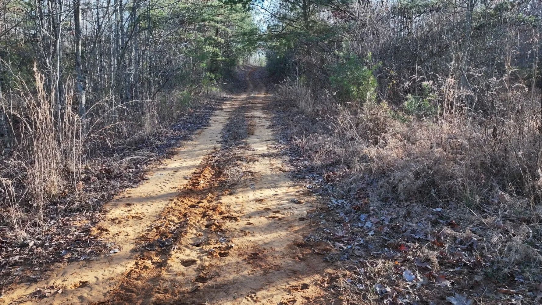McMinnville 291 Acres - McMinnville, Tennessee, 37110