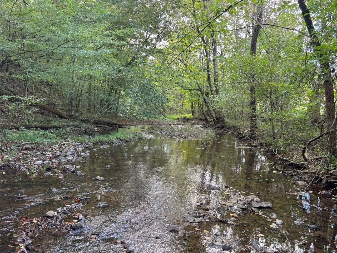 Blowing Springs Creek Lot 1 - Waynesboro, Tennessee, 35646