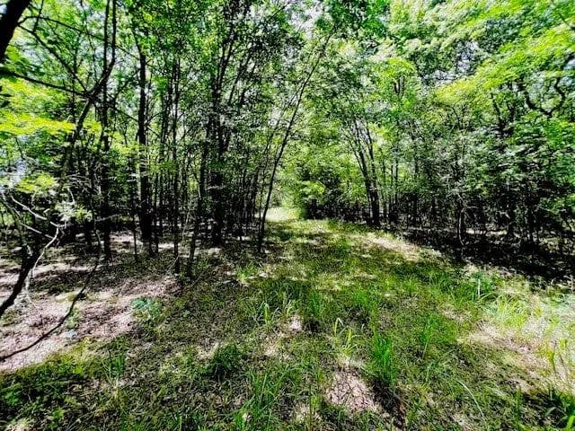 Lots & Land-Other in Sulphur Springs - Sulphur Springs, Texas, 75482