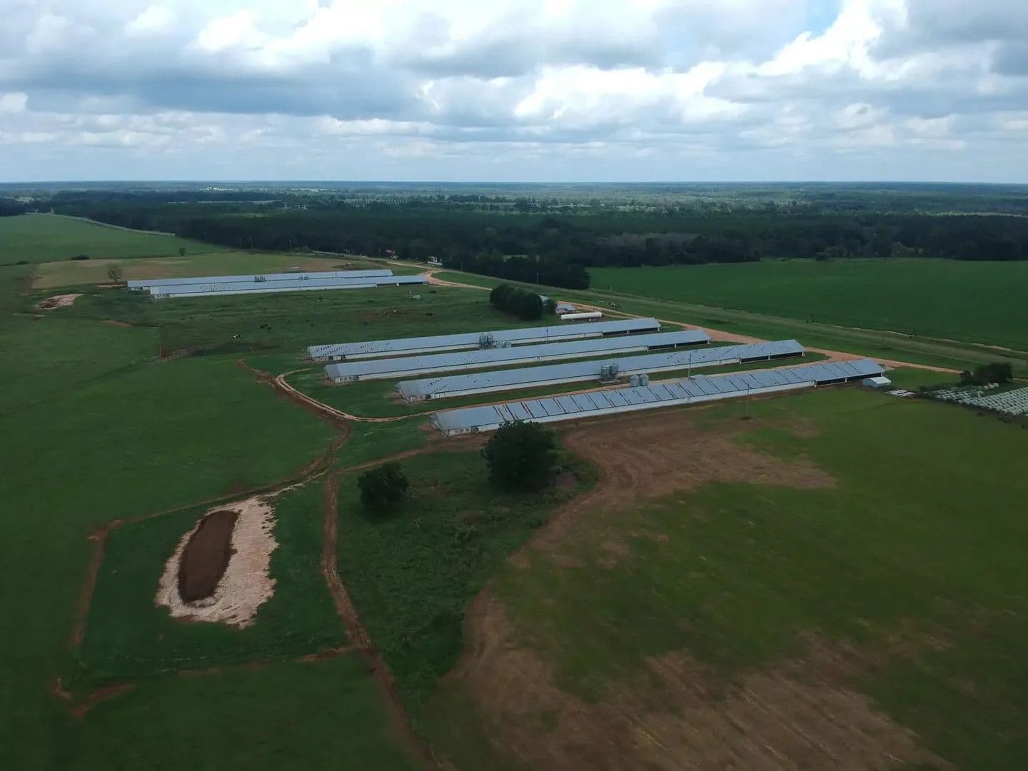 Silo Road Broiler & Cattle Farm – 60+/- Ac & 7 House Farm - Calhoun Co. GA - Edison, Georgia, 39846