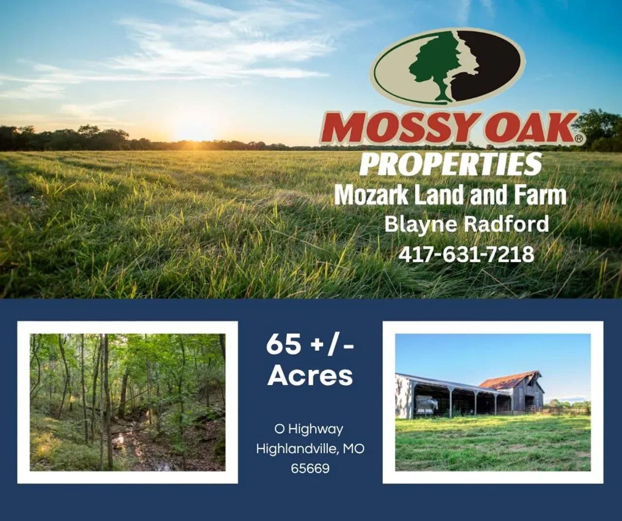 Build, Farm & Hunt on 65± Scenic Missouri Acres - Highlandville, Missouri, 65669