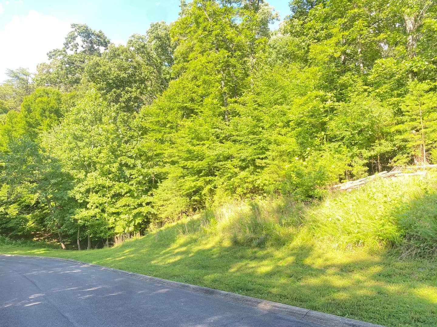 0.92 Acres of Land for Sale in Dandridge, TN - Dandridge, Tennessee, 37725