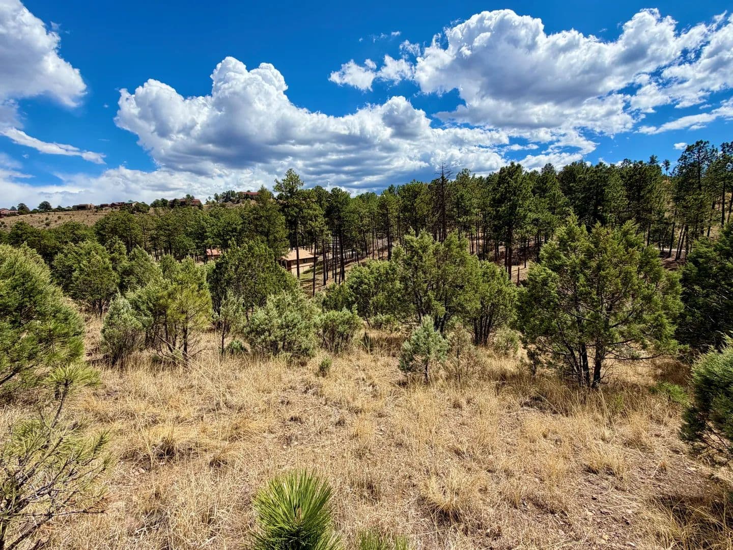 Land -Agricultural (Not Zoned) in Alto - Alto, New Mexico, 88312