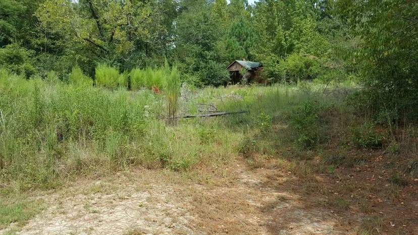 Vacant Land in Dry Branch
