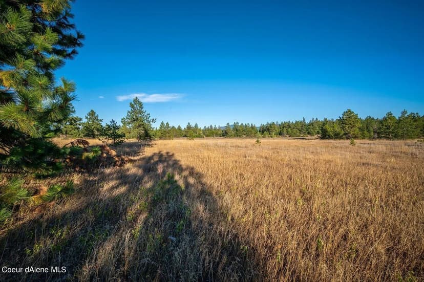 Property from NNA ARDEN LN LOT 2 - KW