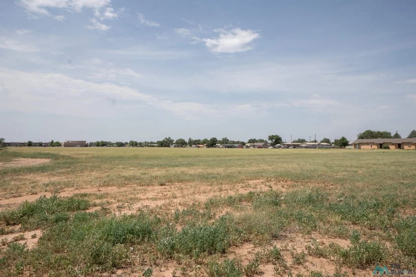 Lots & Land-Other in Clovis