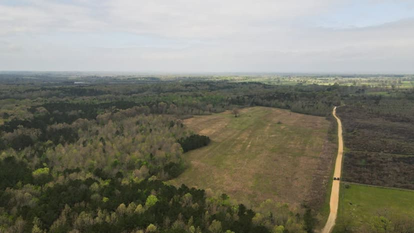 76 Acres in Hempstead County, AR