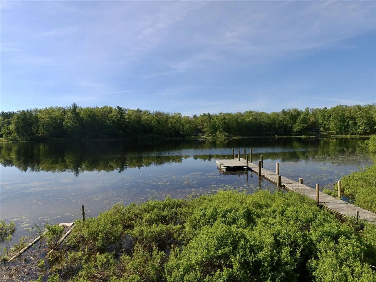0.37 Acres of Land for Sale in Bitely, Michigan - Bitely, Michigan, 49309