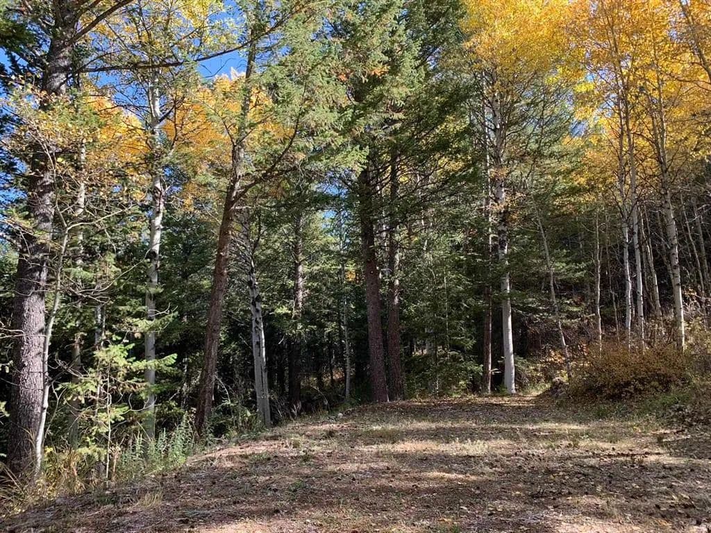 5.01 Acres of Land for Sale in Lava Hot Springs, ID - Lava Hot Springs, Idaho, 83246
