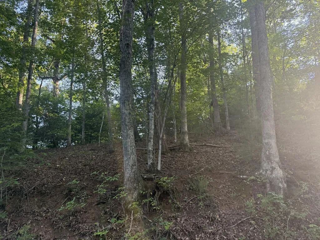 0.8 Acres of Land for Sale in Cullowhee, NC - Cullowhee, North Carolina, 28723