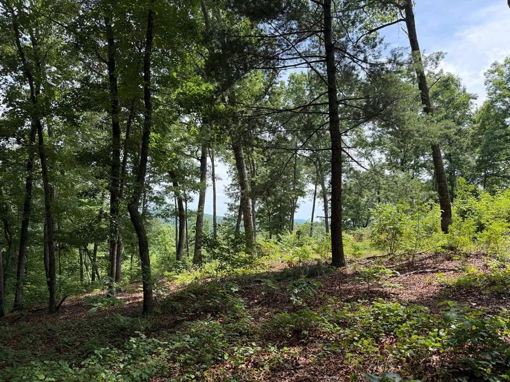1.28 Acres of Land for Sale in Ellijay, GA - Ellijay, Georgia, 30540